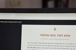 Gemini thêm tính năng tạo file Word, Excel ngay trong khung chat