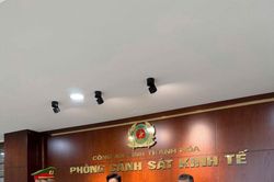 Thanh Hóa: Khởi tố 3 đối tượng giết mổ, tiêu thụ lợn nhiễm dịch tả châu Phi