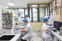 Giám định tư pháp trong lĩnh vực y tế từ ngày 1-5-2026 gồm danh mục nào?