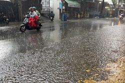 TPHCM đón 'mưa vàng' hạ nhiệt sau chuỗi ngày nắng nóng kỷ lục