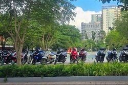 TP Hồ Chí Minh tiếp tục duy trì công viên tạm trên các khu đất chưa triển khai dự án