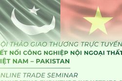 Kết nối ngành nội - ngoại thất Việt Nam - Pakistan qua hội thảo trực tuyến