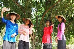 Tìm mát dưới tán dâu xanh
