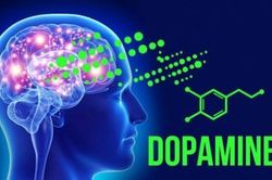 Dopamine là gì? Vai trò của Dopamine trong cơ thể?