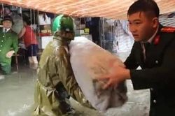 Quyết liệt truy quét lò mổ lậu