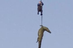 Lý do cảnh sát phải tiếp cận dòng sông đầy cá sấu khổng lồ