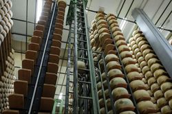 Ngân hàng phô mai của Italy: Khi Parmigiano Reggiano trở thành 'kho vàng tài chính'
