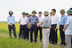 Xã Lệ Thủy phấn đấu hoàn thành xây dựng nông thôn mới trong năm 2026