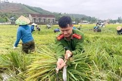 Lực lượng Công an dầm mình giúp dân khắc phục hậu quả dông, lốc
