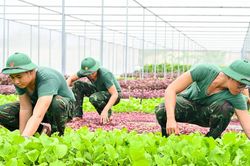 Chiến sĩ mới trưởng th&agrave;nh, vững v&agrave;ng sau 2 th&aacute;ng huấn luyện