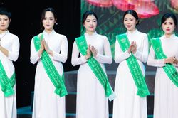 Tìm người đẹp lan tỏa văn hóa Việt, chấp nhận có phẫu thuật thẩm mỹ 30%