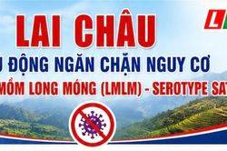 Lai Châu chủ động ngăn chặn nguy cơ dịch lở mồm long móng serotype sat1