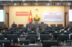 Đà Nẵng: Quán triệt, triển khai Nghị quyết 254 về tháo gỡ vướng mắc trong tổ chức thi hành Luật Đất đai
