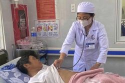 Chín người ở Quảng Trị ngộ độc sau ăn ve sầu