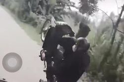 Mũi dại lái chịu đòn!