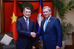 Thủ tướng Chính phủ Lê Minh Hưng gặp lãnh đạo các nước, tổ chức quốc tế bên lề Hội nghị cấp cao ASEAN lần thứ 48