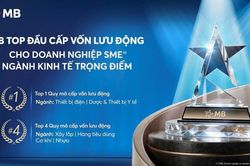 MB – Ngân hàng top đầu Quy mô dư nợ cho vay ngắn hạn đối với doanh nghiệp SME thuộc ngành kinh tế trọng điểm