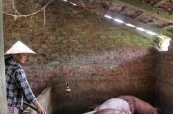 Nâng cao năng lực tiếp cận tri thức khởi nghiệp cho hàng chục nghìn phụ nữ