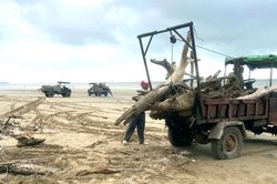Dọn hơn 100 tấn 'bãi chông' nguy hiểm dọc biển Thanh Hóa