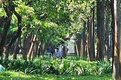 Người đàn ông tử vong bất thường gần hầm chui ở TPHCM