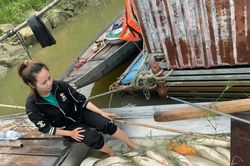 Tạm dừng lấy nước thô từ sông Lam sau sự cố tràn 2.000 tấn mật mía