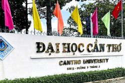 Thủ tướng quyết định sáp nhập một số trường cao đẳng vào đại học