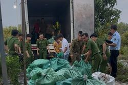 Cà Mau: Xử lý hình sự 127 đối tượng liên quan hàng giả, hàng nhái