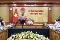 Họp trực tuyến về đề xuất đầu tư trạm y tế x&atilde; bi&ecirc;n giới