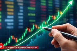 Neo Floor bị xử phạt 92,5 triệu đồng do vi phạm công bố thông tin trái phiếu