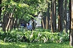 Tìm kiếm người thân cho nạn nhân tử vong bất thường trong công viên