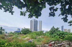 Công khai dự án 'treo', kiên quyết thu hồi các diện tích đất bỏ hoang