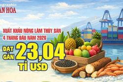 Xuất khẩu nông lâm thủy sản Việt Nam bứt phá, cán mốc gần 23,04 tỉ USD sau 4 tháng