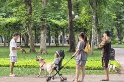 Nỗi bất an của người dân khi đến Công viên Thống Nhất