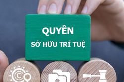 Siết vi phạm sở hữu trí tuệ: Việt Nam vào 'luật chơi' mới