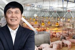 'Mỏ vàng' mới của Hòa Phát kiếm về bao nhiêu mỗi ngày