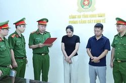 Dùng 'quân xanh' trong hoạt động bán đấu giá đất, quản lý công ty bị khởi tố