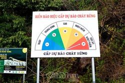 Cảnh báo nguy cơ cháy rừng trên địa bàn tỉnh Cà Mau