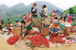 Chợ phiên Tả Sìn Thàng: Điểm hẹn văn hóa đặc sắc giữa núi rừng Điện Biên