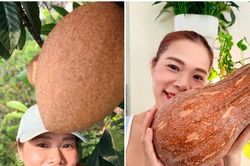 Nữ Phó Chủ tịch tuổi 53 chán hát, mê làm nông dân và sở hữu vườn 10.000m2