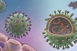 Hantavirus dễ nhầm với c&uacute;m c&oacute; thể chuyển nặng nhanh
