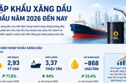 Nhập khẩu 4 mặt hàng năng lượng chính tăng mạnh trong 4 tháng đầu năm