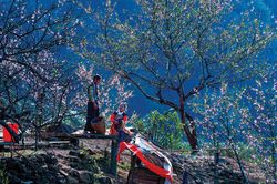 Qua miền Tây Bắc