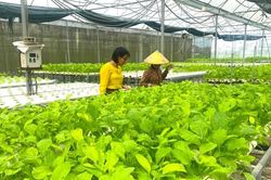 Khi AI số hóa vị ngọt quê hương – Kỳ 3: 'Chìa khóa' để xây dựng hệ sinh thái 'sống Xanh''