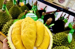 Sầu riêng 50.000 đồng/kg vẫn khó bán, loại nửa triệu đồng/kg lại 'cháy hàng'