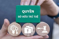 [VIDEO] Thủ tướng yêu cầu triệt phá website phim nhạc lậu