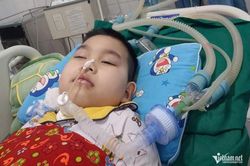 Bé trai 9 tuổi người Tày nguy kịch vì viêm não Nhật Bản, cha mẹ nghèo kiệt quệ