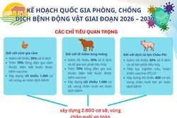 (Infographic) Kế hoạch quốc gia phòng, chống dịch bệnh động vật giai đoạn 2026 - 2030