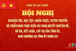 Hội nghị nghiên cứu, học tập, quán triệt, tuyên truyền và triển khai thực hiện các nghị quyết chuyên đề, đề án, kết luận, chỉ thị của Tỉnh ủy, Ban Thường vụ Tỉnh ủy khóa XV
