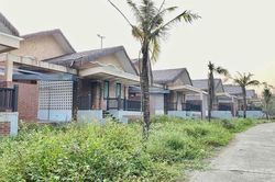 Bài 2: Nghịch lý mang tên 'bờ biển vắng'