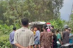 Người đàn ông bị sét đánh tử vong khi đang cưa cây thuê